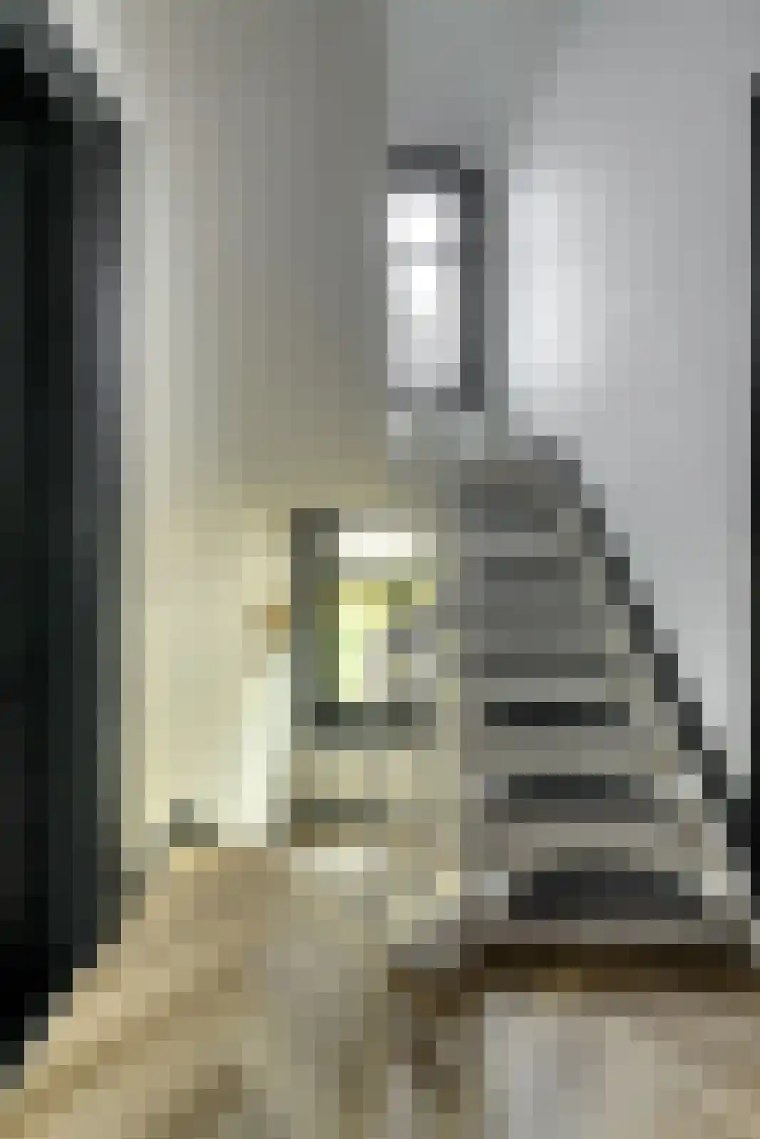 Prins Hendrikstraat 15 Raamsdonksveer thumbnail 45