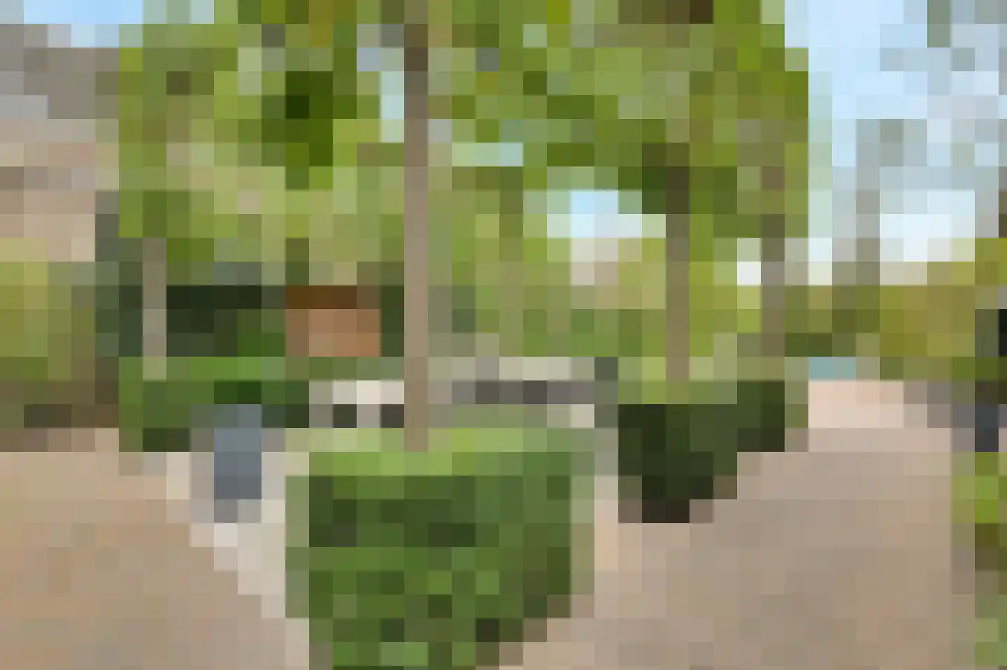 Prins Hendrikstraat 15 Raamsdonksveer thumbnail 56