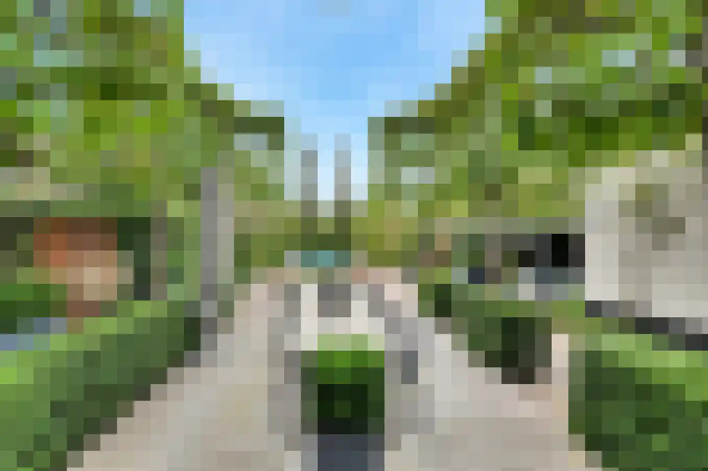 Prins Hendrikstraat 15 Raamsdonksveer thumbnail 57