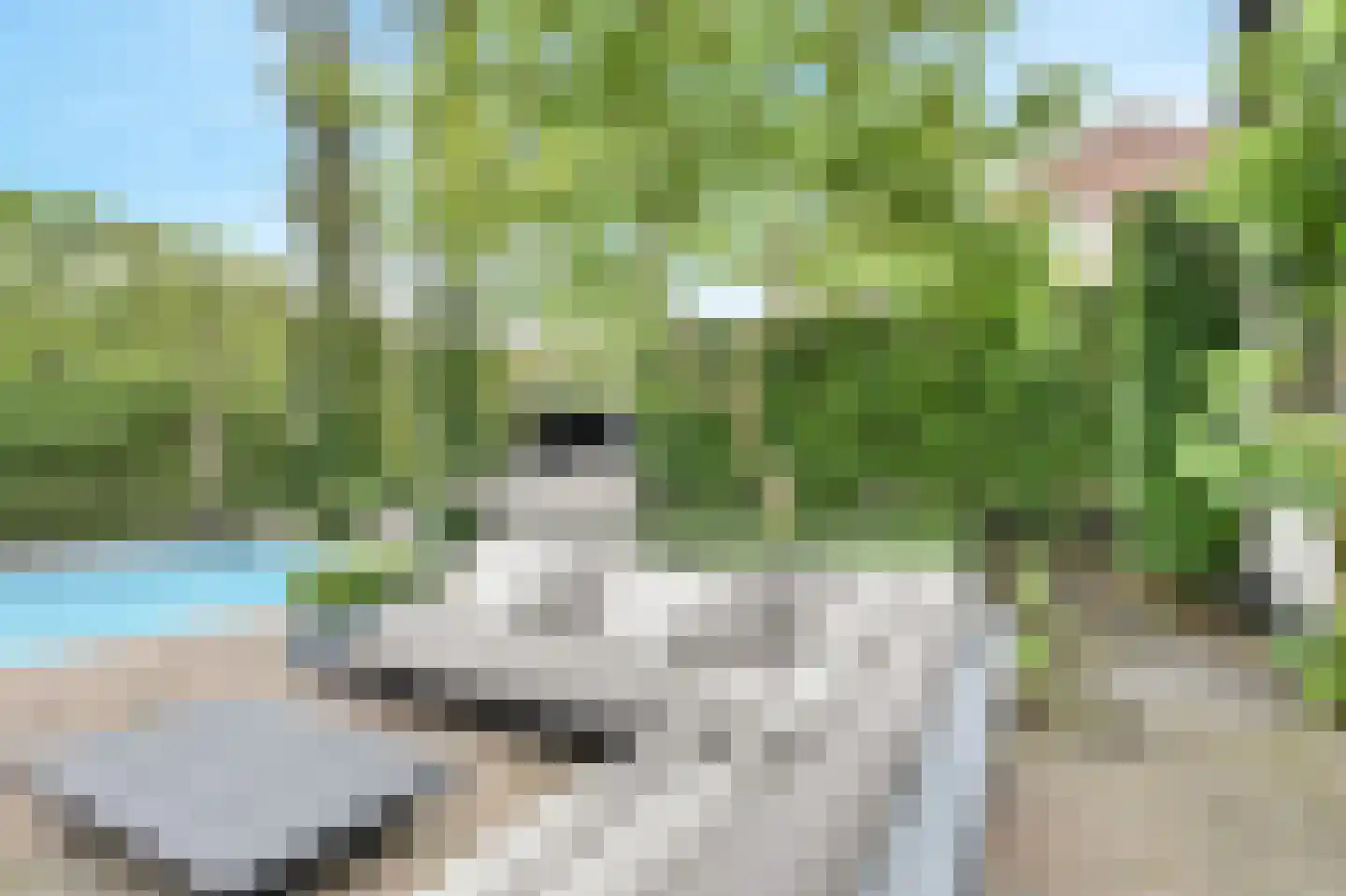 Prins Hendrikstraat 15 Raamsdonksveer thumbnail 68