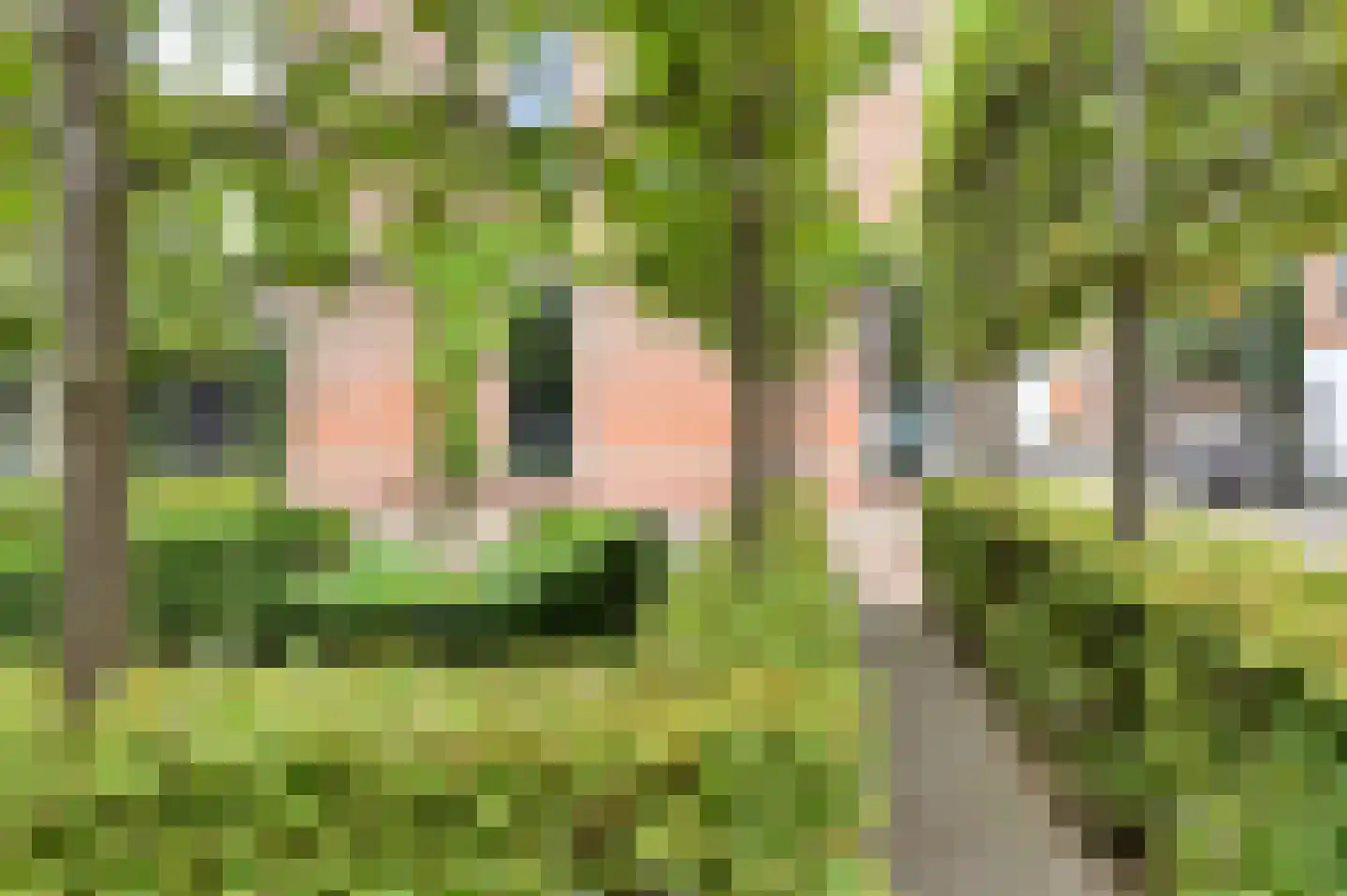Prins Hendrikstraat 15 Raamsdonksveer thumbnail 8