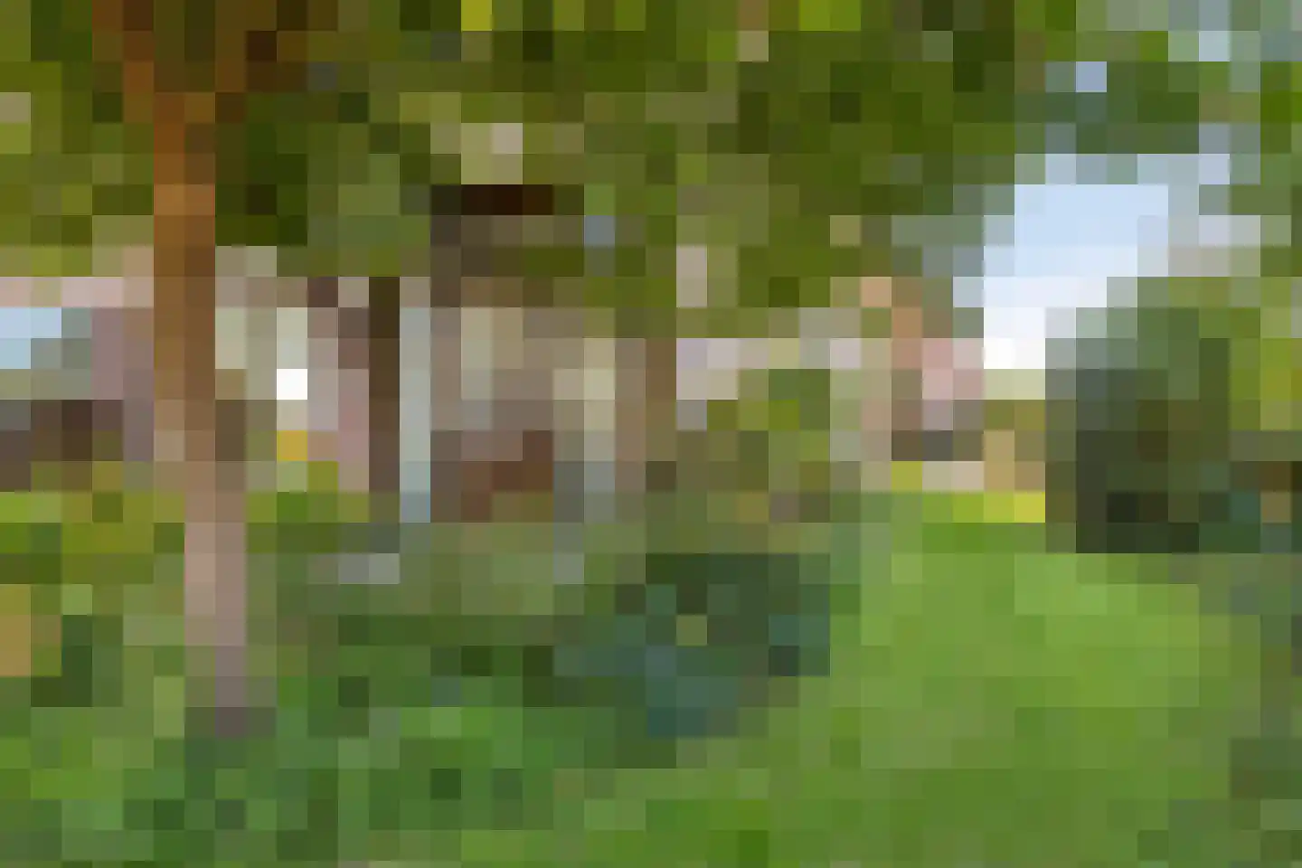 Prins Hendrikstraat 15 Willemstad thumbnail 28
