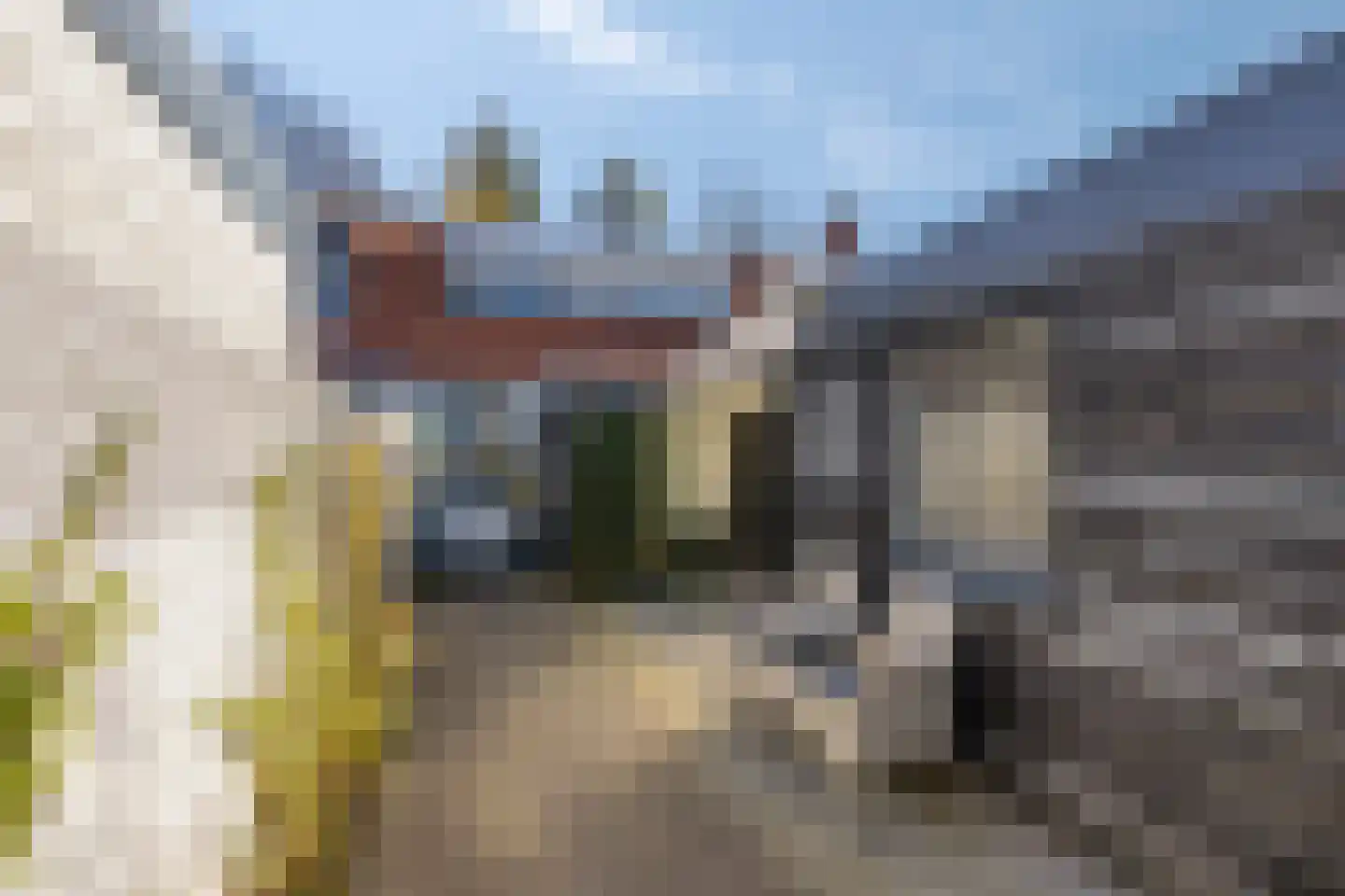Prins Hendrikstraat 16 Borne thumbnail 24