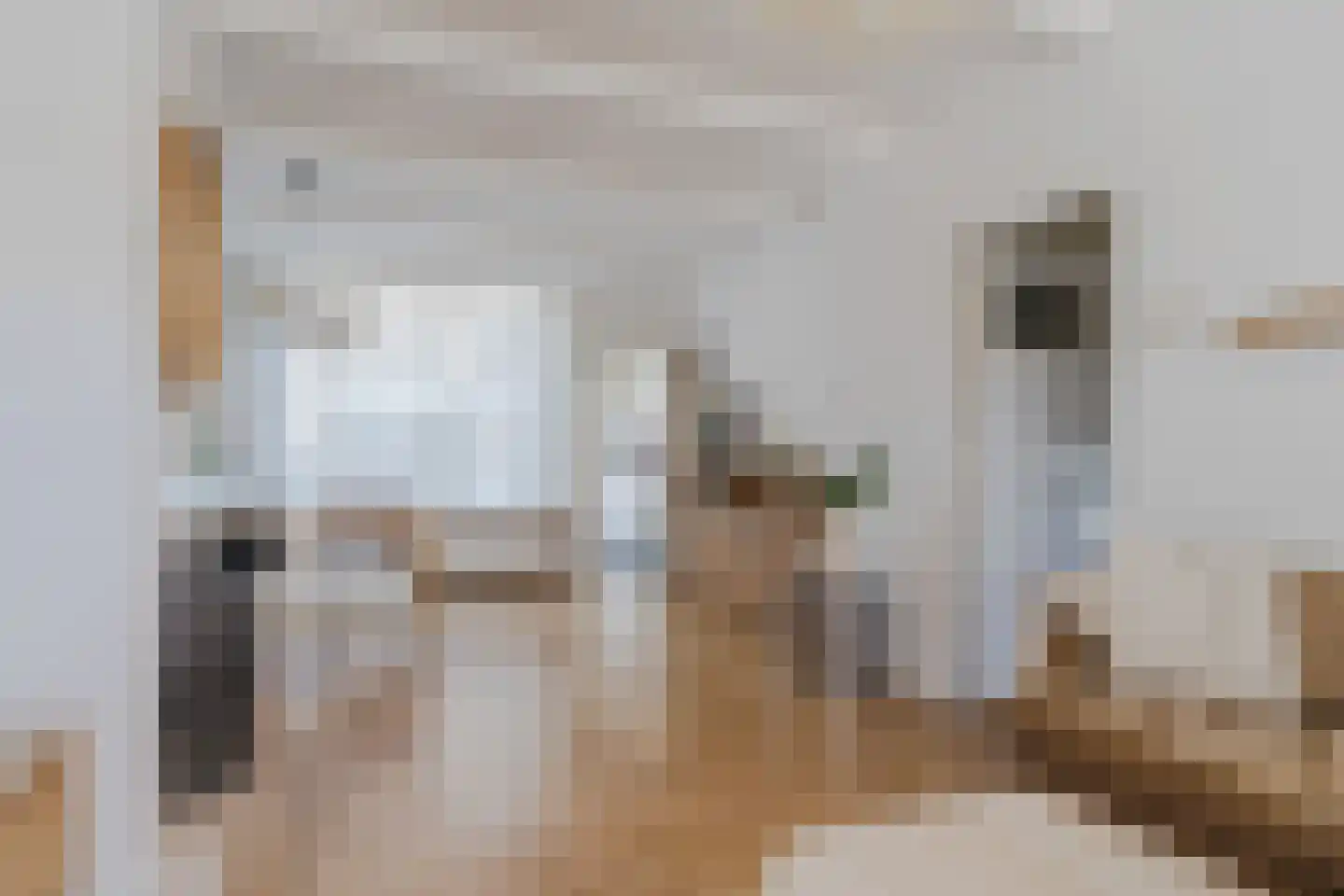 Prins Hendrikstraat 16 Koog aan de Zaan thumbnail 11