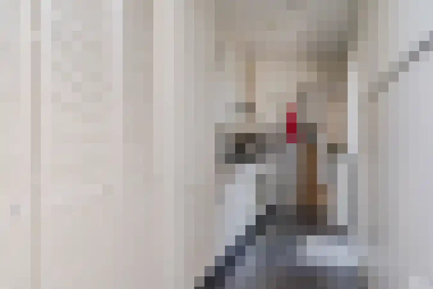 Prins Hendrikstraat 16 Koog aan de Zaan thumbnail 15