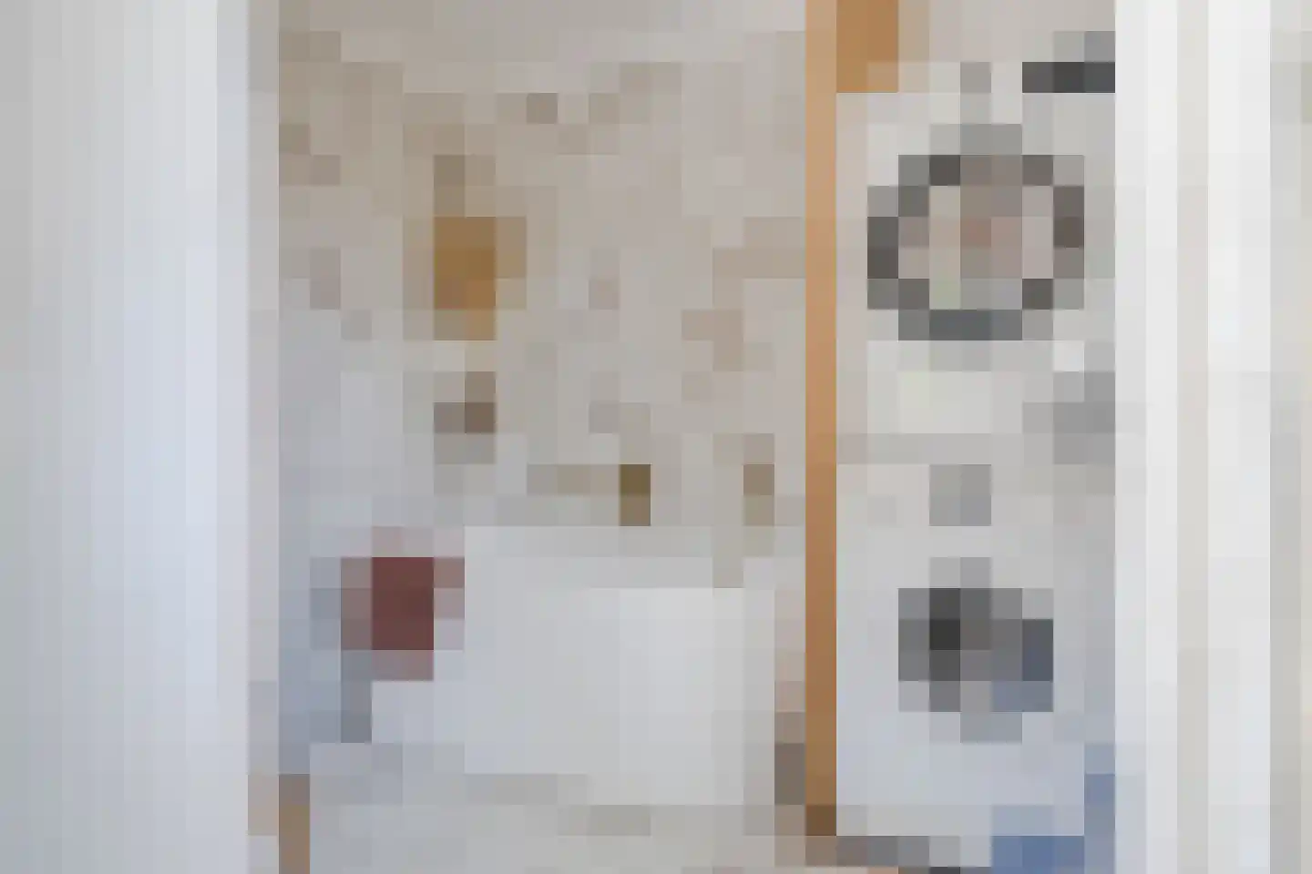 Prins Hendrikstraat 16 Koog aan de Zaan thumbnail 16