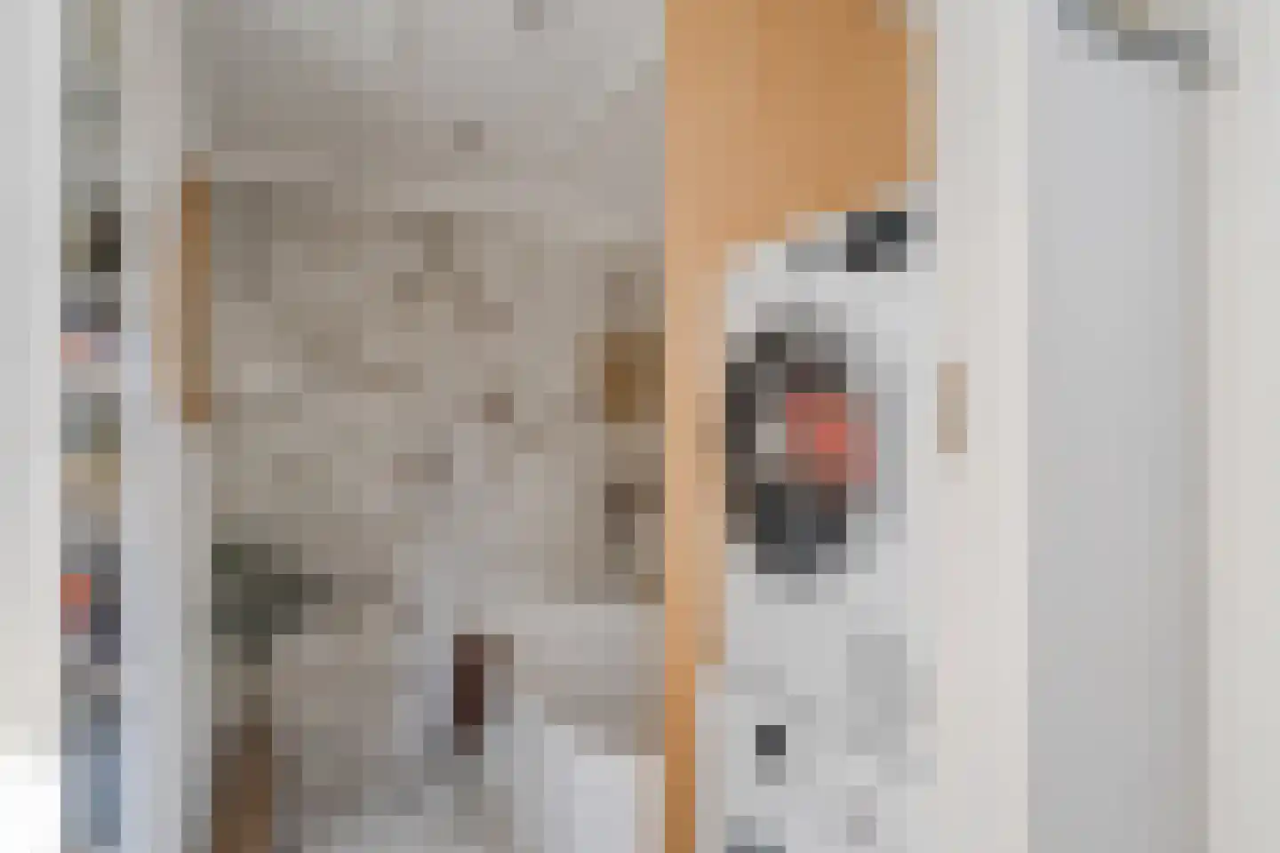 Prins Hendrikstraat 16 Koog aan de Zaan thumbnail 17
