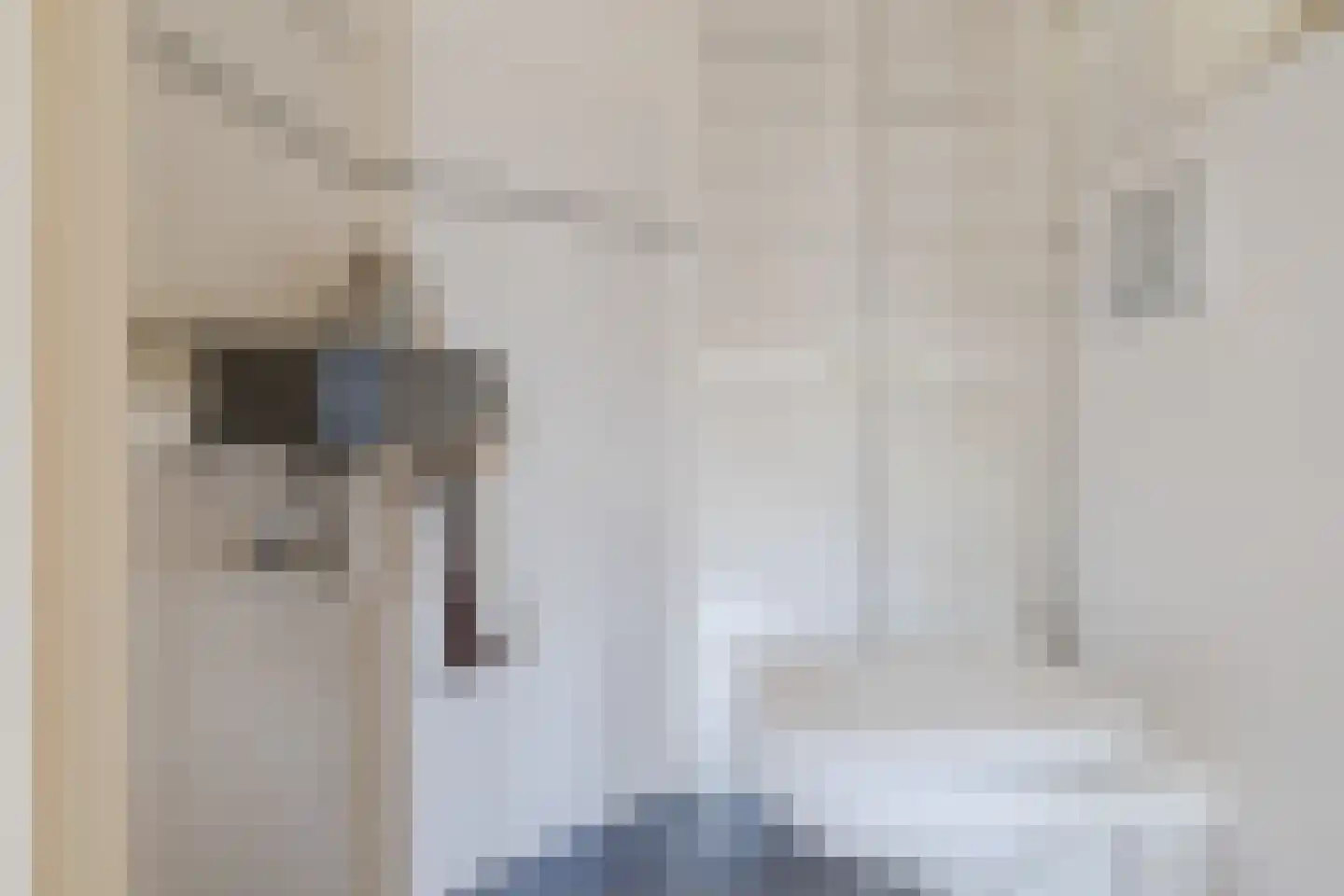 Prins Hendrikstraat 16 Koog aan de Zaan thumbnail 18