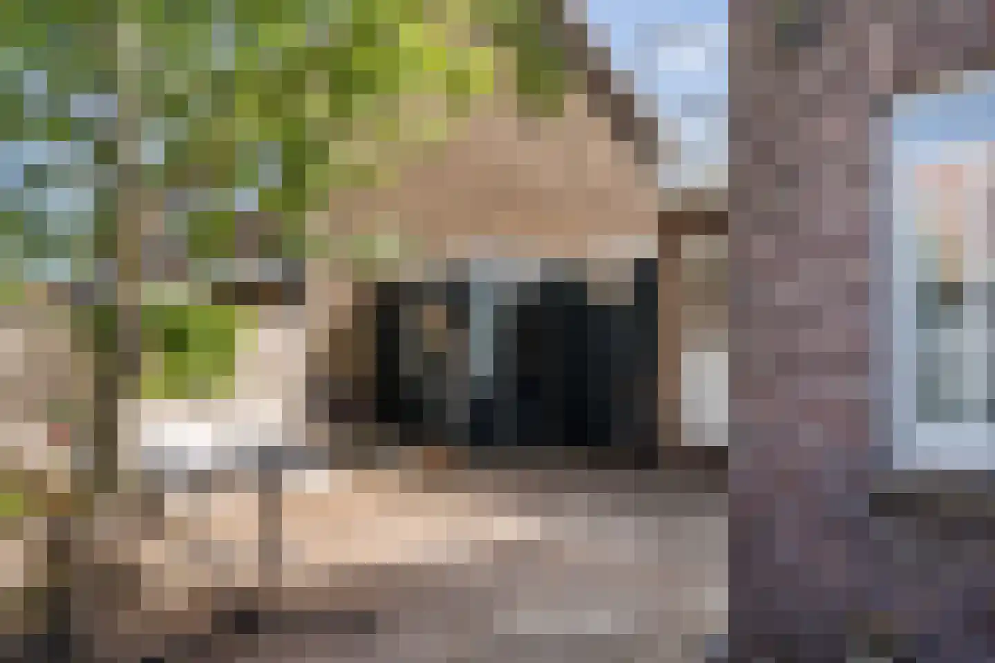Prins Hendrikstraat 16 Koog aan de Zaan thumbnail 34