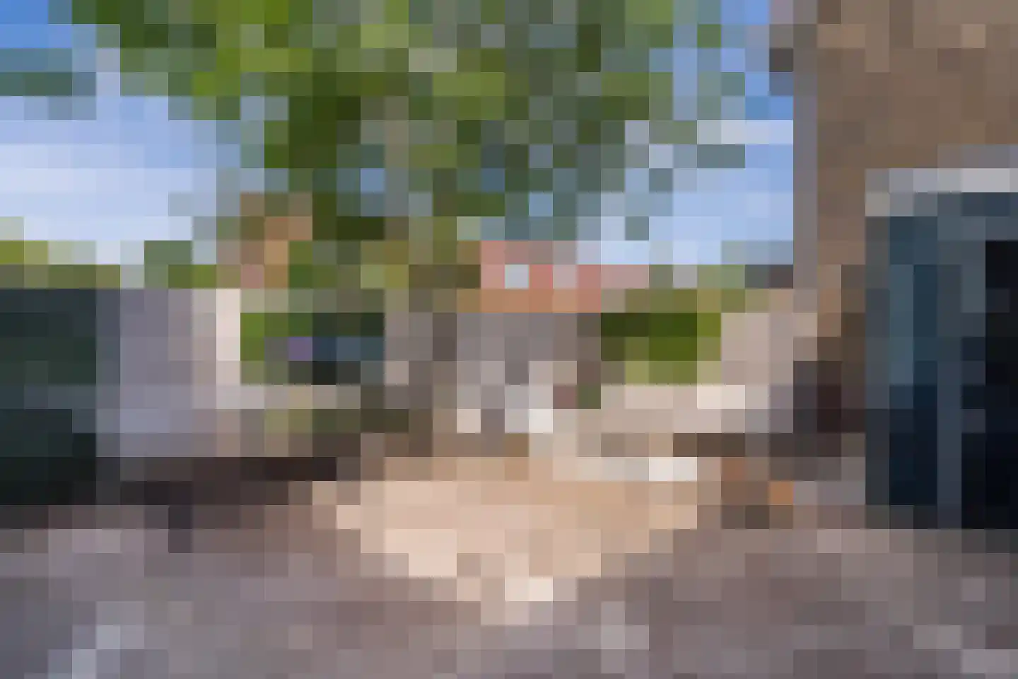 Prins Hendrikstraat 16 Koog aan de Zaan thumbnail 5