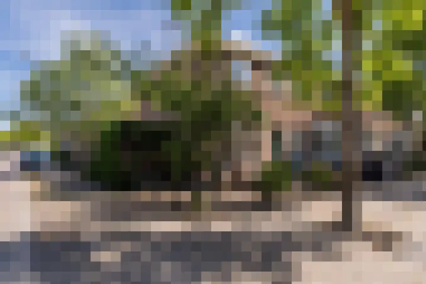 Prins Hendrikstraat 16 Koog aan de Zaan thumbnail 7