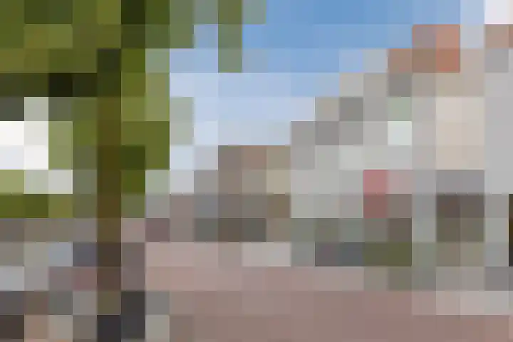 Prins Hendrikstraat 16 Oud-Beijerland thumbnail 30