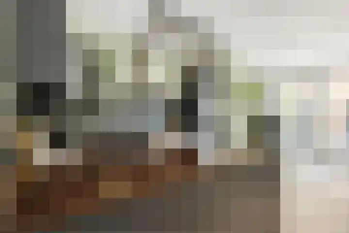 Prins Hendrikstraat 16 Wateringen thumbnail 16
