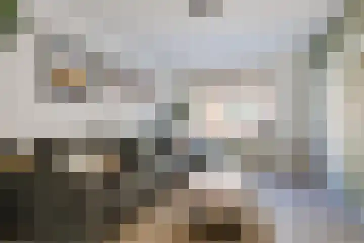 Prins Hendrikstraat 16 Wateringen thumbnail 6