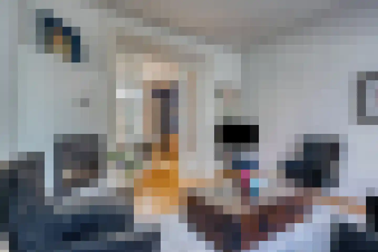 Prins Hendrikstraat 17 Axel thumbnail 11