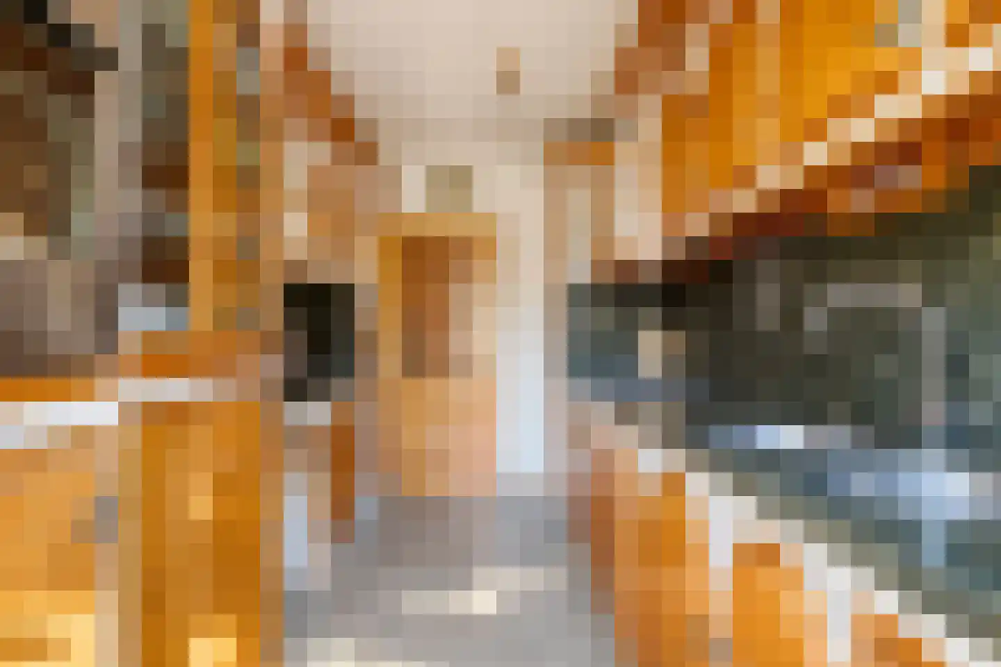 Prins Hendrikstraat 17 Oud-Beijerland thumbnail 14