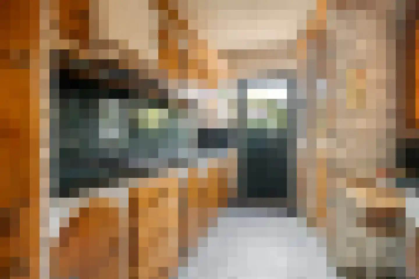 Prins Hendrikstraat 17 Oud-Beijerland thumbnail 15