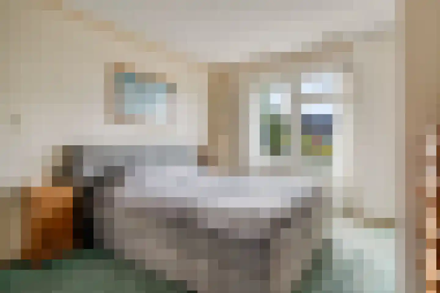 Prins Hendrikstraat 17 Oud-Beijerland thumbnail 21