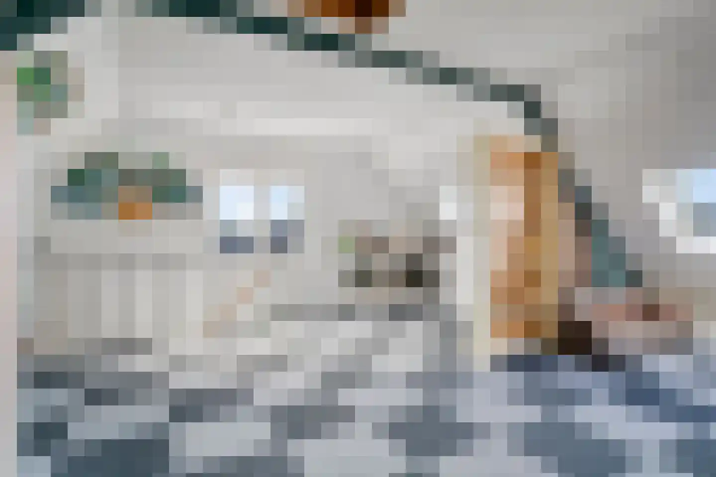 Prins Hendrikstraat 17 Oud-Beijerland thumbnail 36