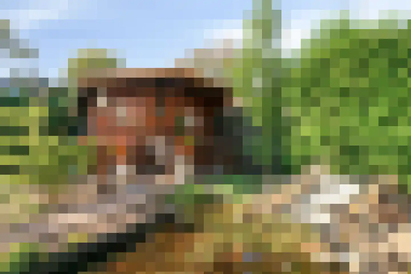 Prins Hendrikstraat 17 Oud-Beijerland thumbnail 43