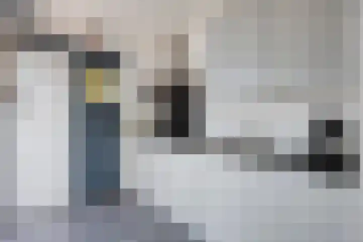 Prins Hendrikstraat 17 Ridderkerk thumbnail 11