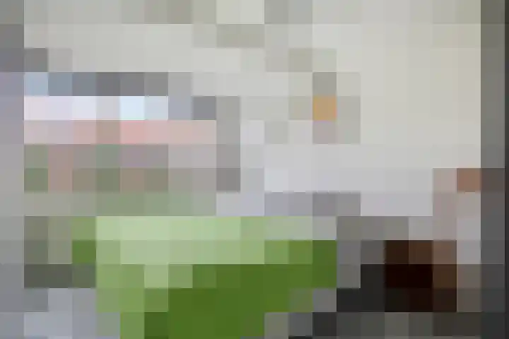 Prins Hendrikstraat 17 Ridderkerk thumbnail 19