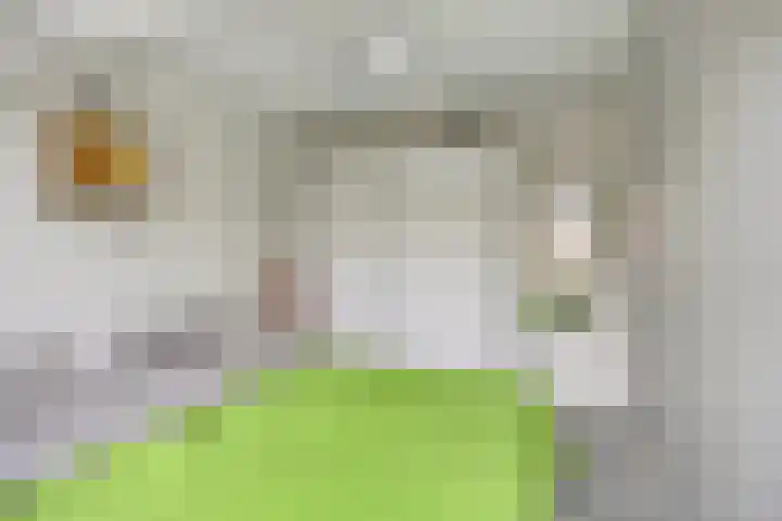 Prins Hendrikstraat 17 Ridderkerk thumbnail 20
