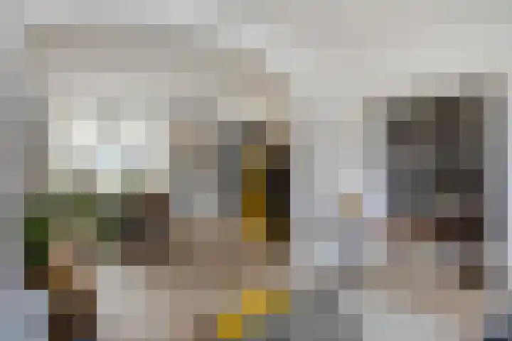 Prins Hendrikstraat 17 Ridderkerk thumbnail 4