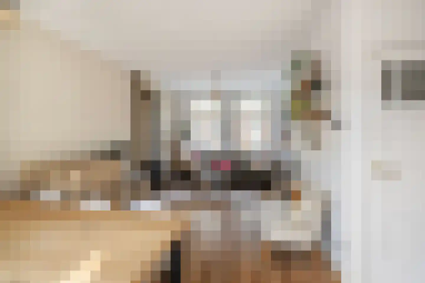 Prins Hendrikstraat 17 Vlaardingen thumbnail 11