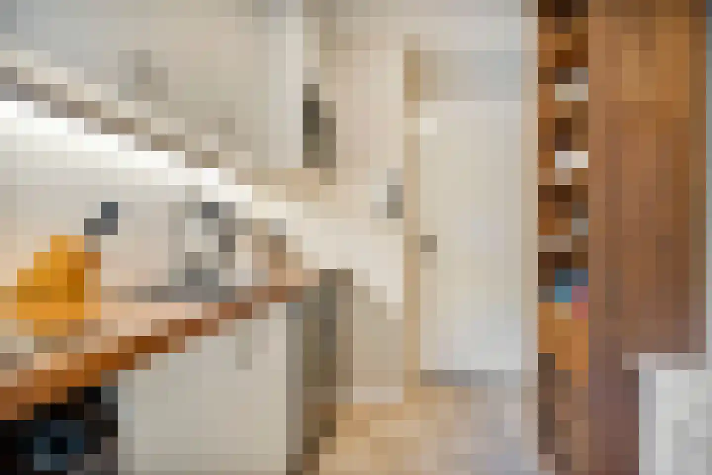 Prins Hendrikstraat 18 Den Haag thumbnail 13