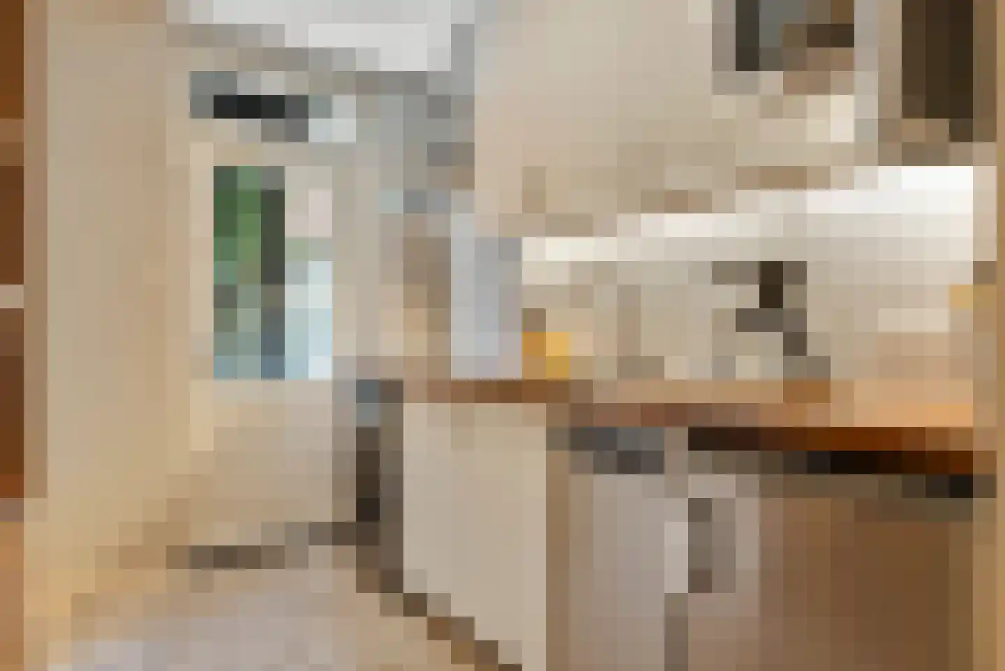 Prins Hendrikstraat 18 Den Haag thumbnail 14