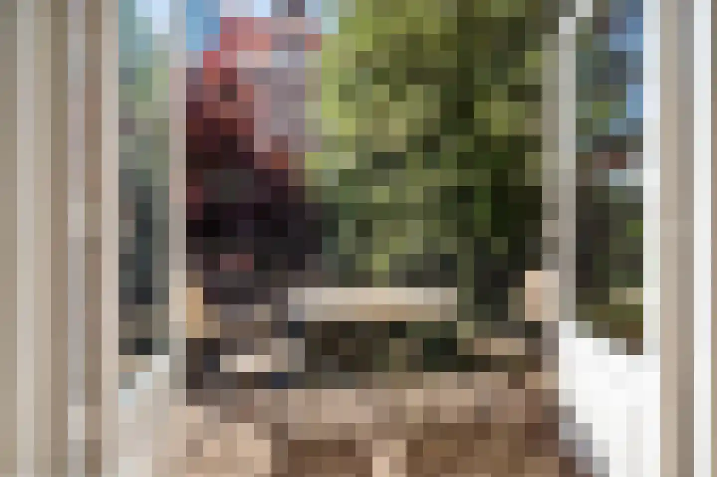 Prins Hendrikstraat 18 Den Haag thumbnail 23