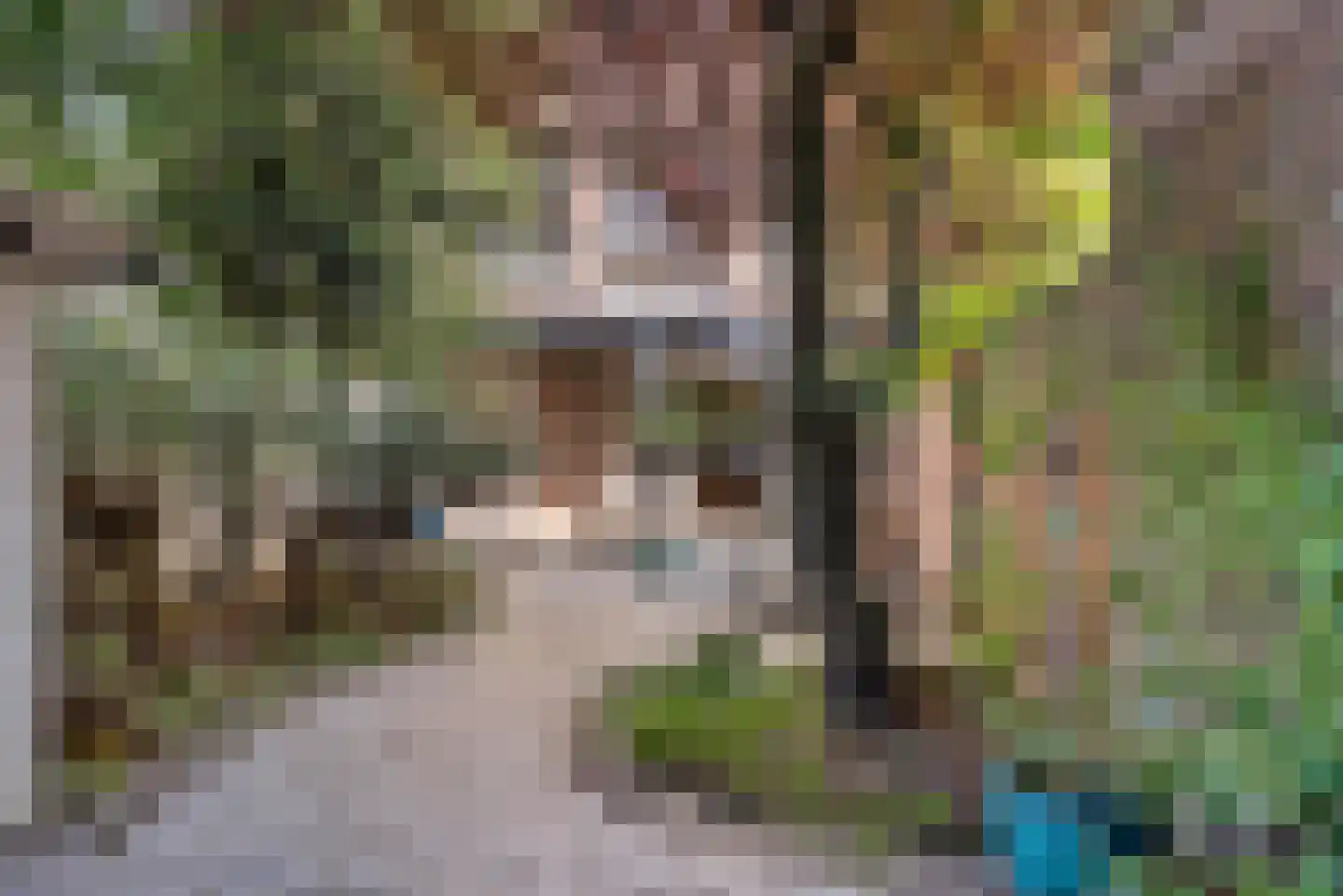 Prins Hendrikstraat 18 Den Haag thumbnail 5