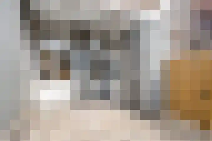 Prins Hendrikstraat 18 Eindhoven thumbnail 24
