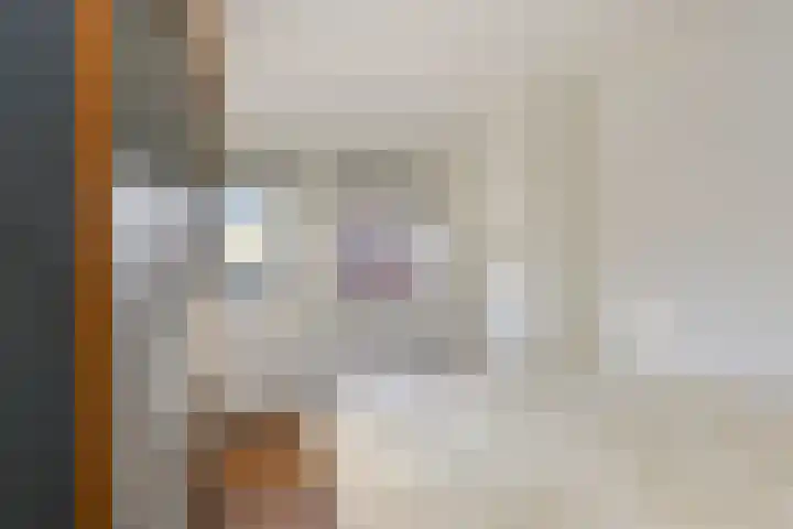 Prins Hendrikstraat 18 Pijnacker thumbnail 22