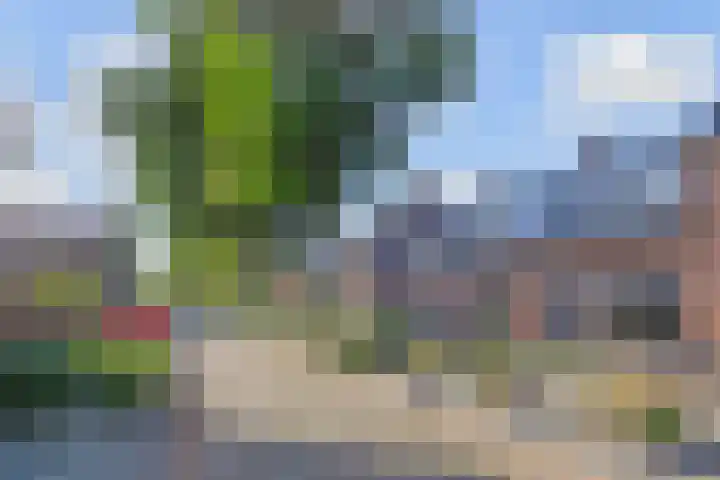 Prins Hendrikstraat 18 Pijnacker thumbnail 38