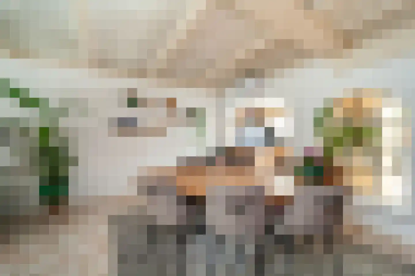 Prins Hendrikstraat 18 Wateringen thumbnail 10