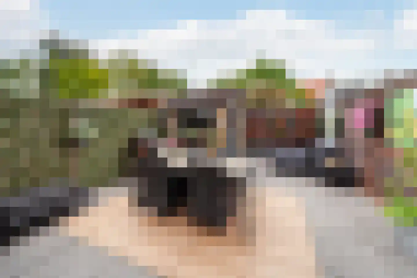 Prins Hendrikstraat 18 Wateringen thumbnail 31