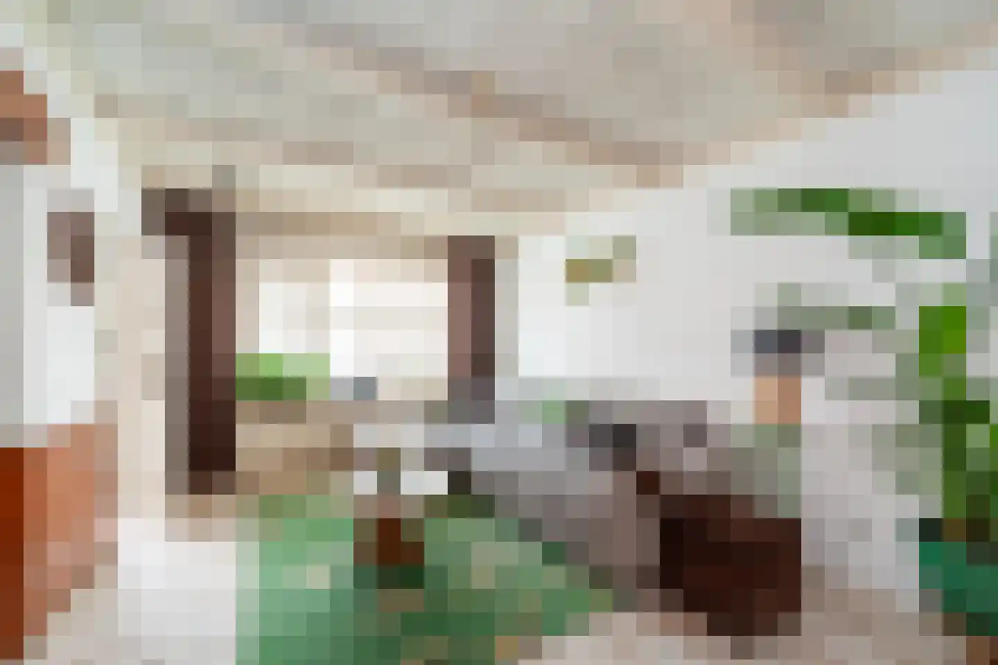 Prins Hendrikstraat 18 Wateringen thumbnail 5