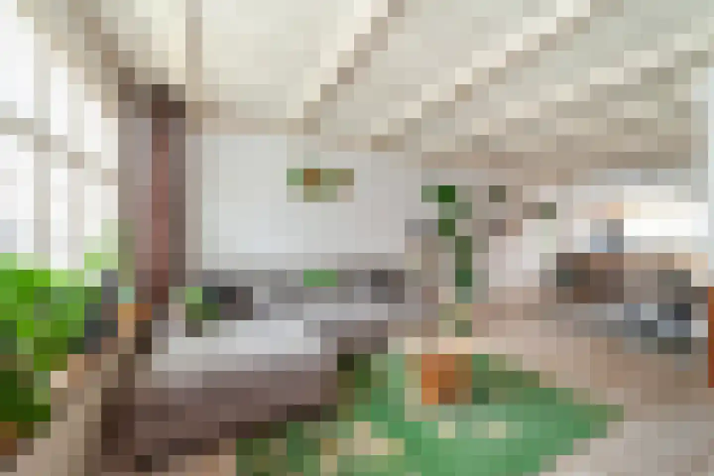 Prins Hendrikstraat 18 Wateringen thumbnail 6