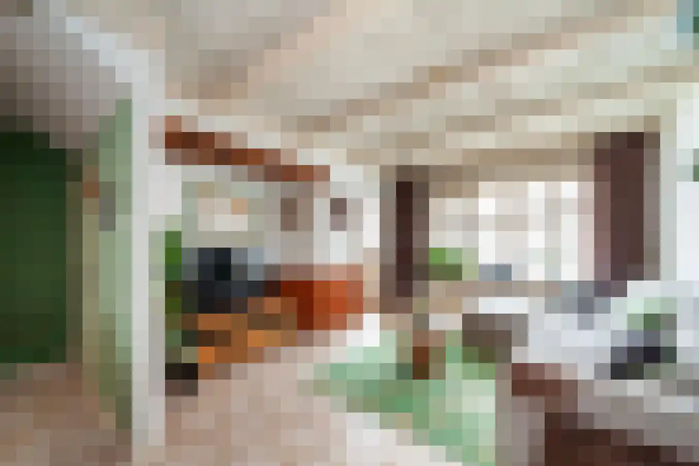 Prins Hendrikstraat 18 Wateringen thumbnail 7