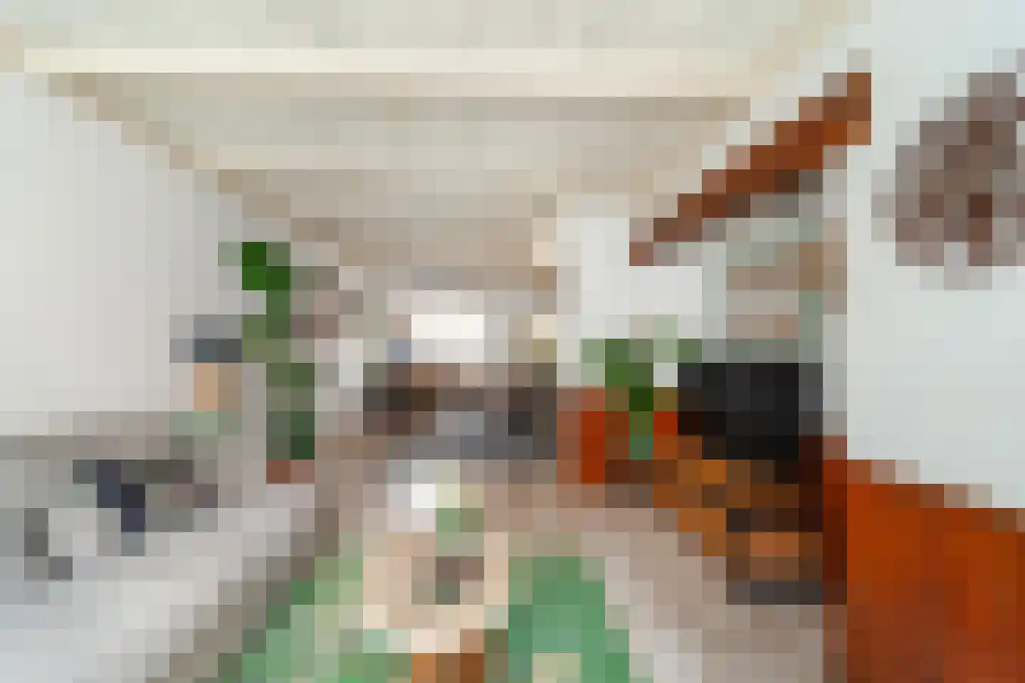 Prins Hendrikstraat 18 Wateringen thumbnail 8