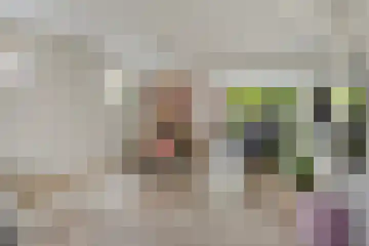 Prins Hendrikstraat 19 Middelharnis thumbnail 11
