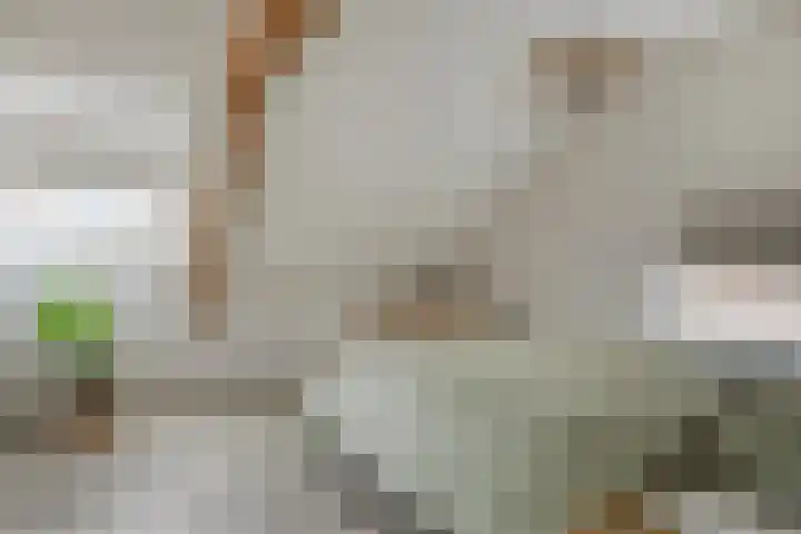 Prins Hendrikstraat 19 Middelharnis thumbnail 19