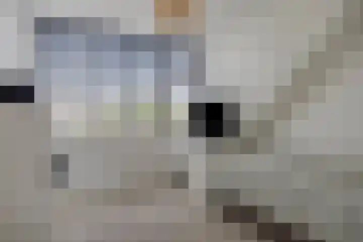 Prins Hendrikstraat 19 Middelharnis thumbnail 25