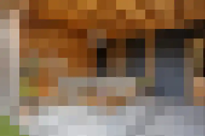 Prins Hendrikstraat 19 Middelharnis thumbnail 30
