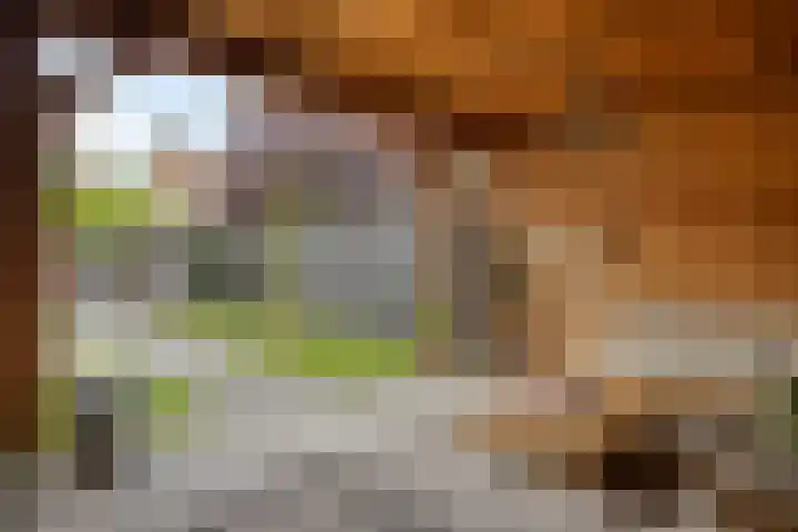 Prins Hendrikstraat 19 Middelharnis thumbnail 31