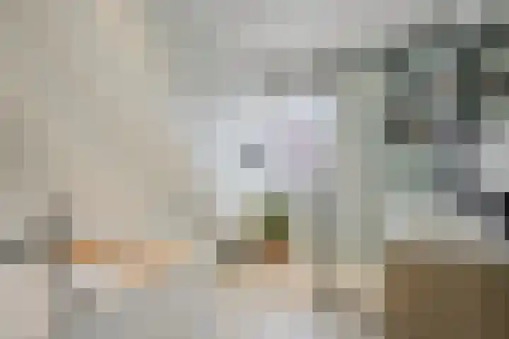 Prins Hendrikstraat 19 Middelharnis thumbnail 4