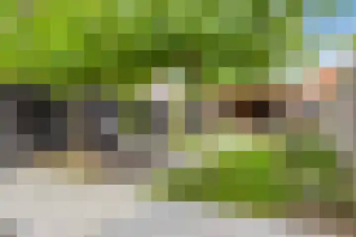 Prins Hendrikstraat 19 Middelharnis thumbnail 5