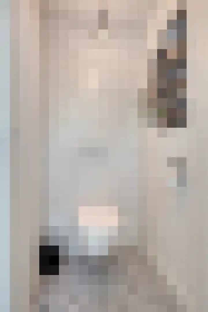 Prins Hendrikstraat 19 Middelharnis thumbnail 8